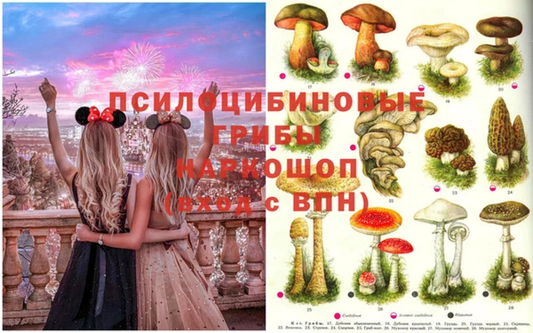 бошки Алексеевка