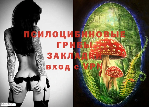 ешки Няндома