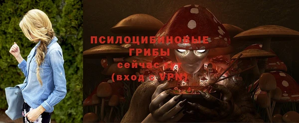 бошки Алексеевка
