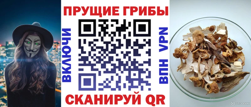 Галлюциногенные грибы мухоморы  KRAKEN как войти  Лениногорск  продажа наркотиков 